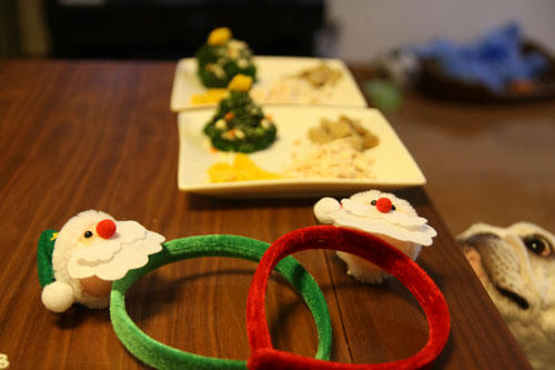 20111229_2.jpg