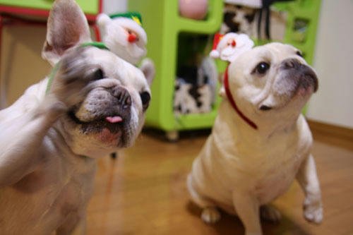 20111229_7.jpg