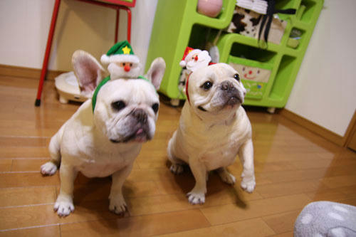 20111229_8.jpg