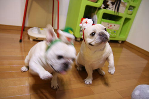 20111229_9.jpg