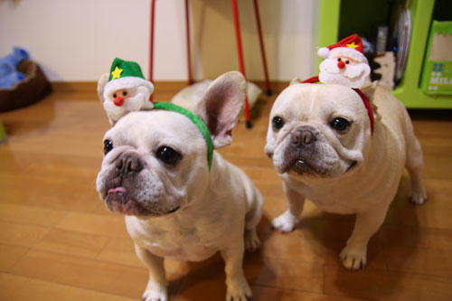 20111229_12.jpg