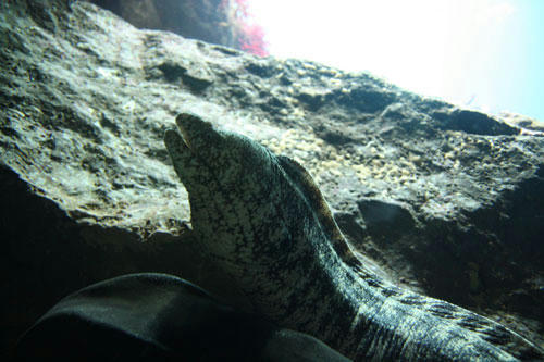 20111231_9.jpg