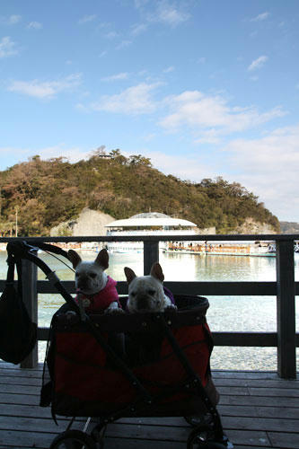 20111231_13.jpg