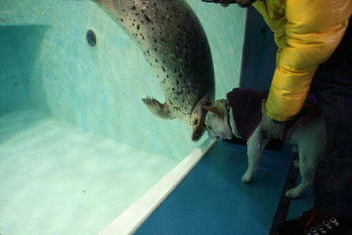 20111231_20.jpg