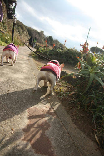 20111231_25.jpg