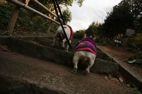 20111231_28.jpg