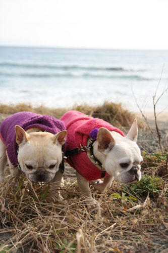 20120101_13.jpg