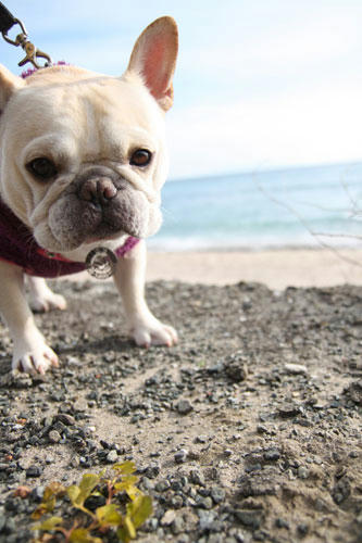 20120101_16.jpg