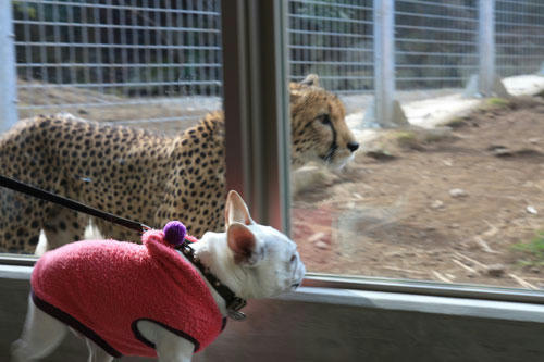20120308_10.jpg