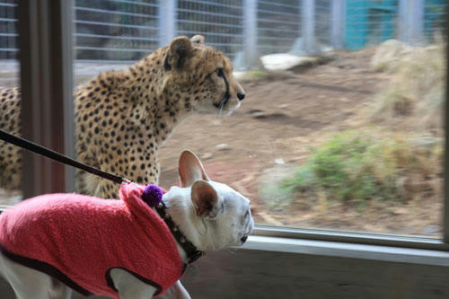20120308_11.jpg