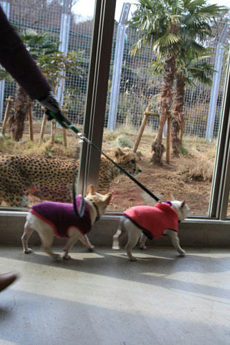 20120308_12.jpg