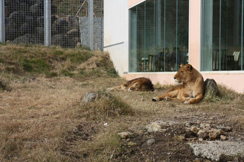 20120308_13.jpg