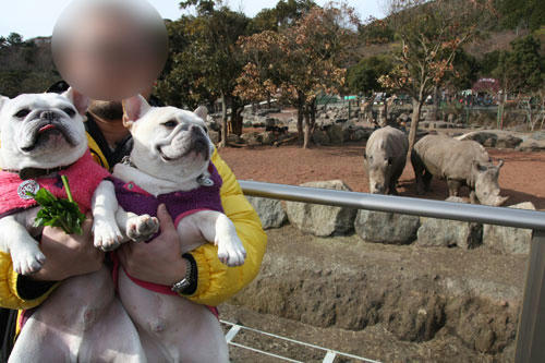 20120308_14.jpg