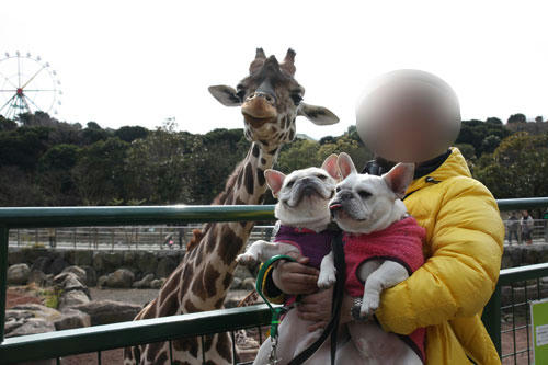 20120308_17.jpg