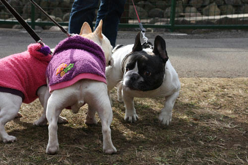 20120308_19.jpg