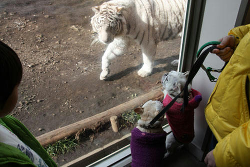 20120308_25.jpg