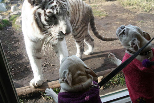 20120308_37.jpg