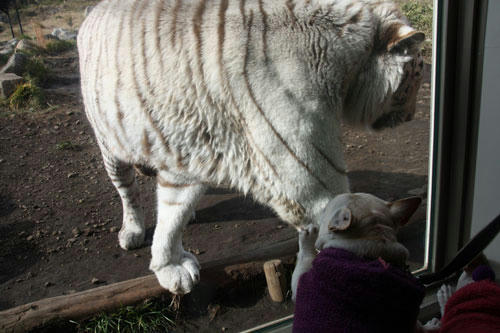 20120308_40.jpg