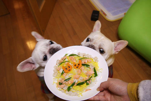 20120328_2.jpg