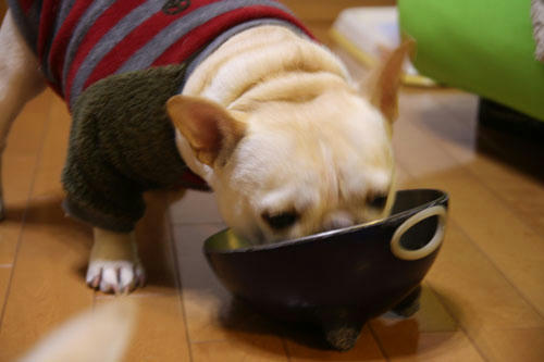 20120328_7.jpg