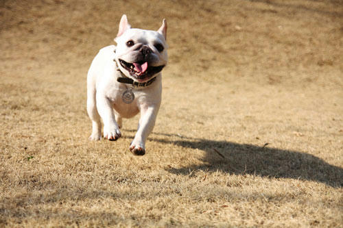 20120401_1.jpg