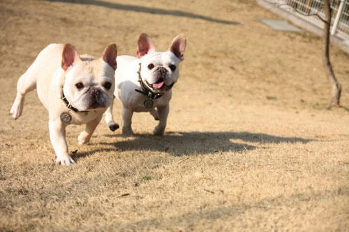 20120401_3.jpg