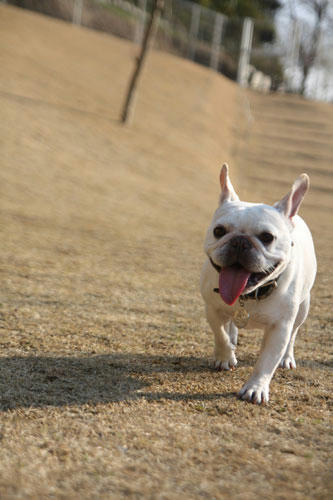 20120401_4.jpg
