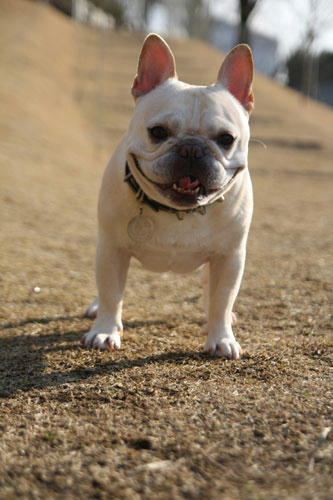 20120401_5.jpg