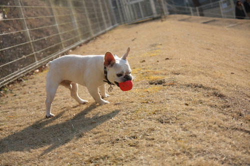 20120401_9.jpg