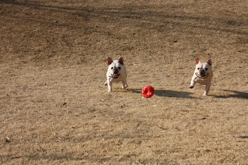 20120401_11.jpg
