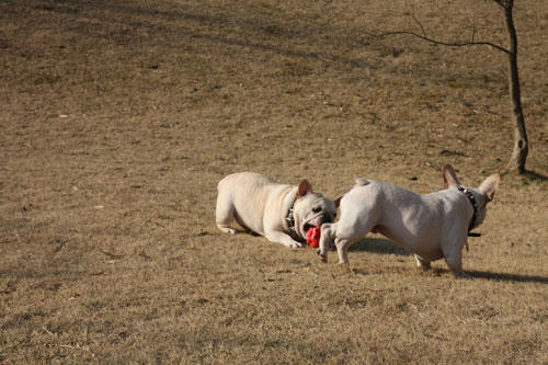 20120401_14.jpg
