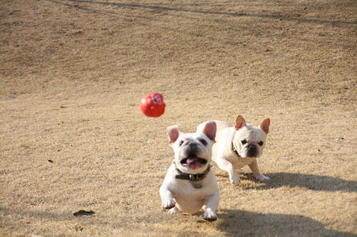 20120401_16.jpg