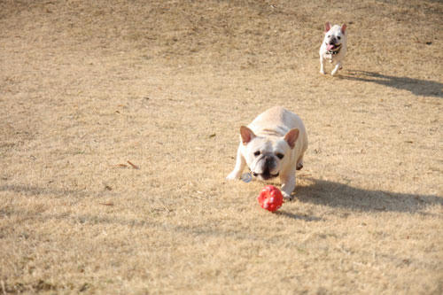 20120401_18.jpg