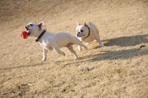 20120401_20.jpg