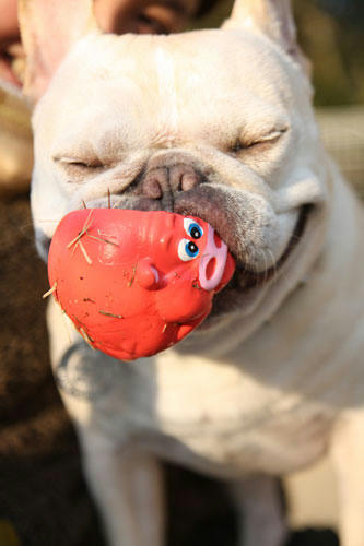 20120401_21.jpg
