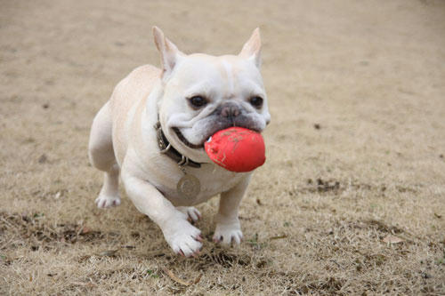 20120401_22.jpg
