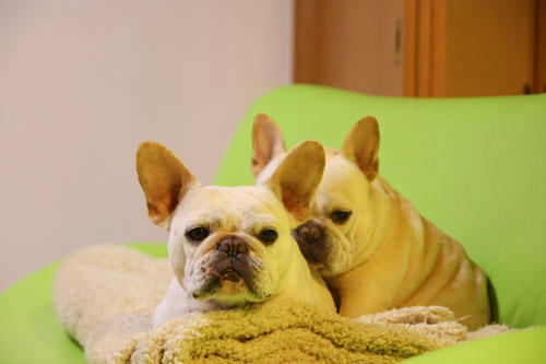 20120402_2.jpg