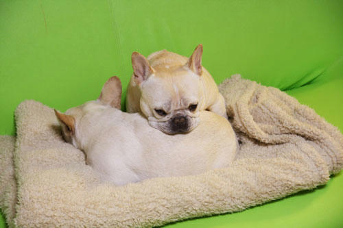 20120402_3.jpg