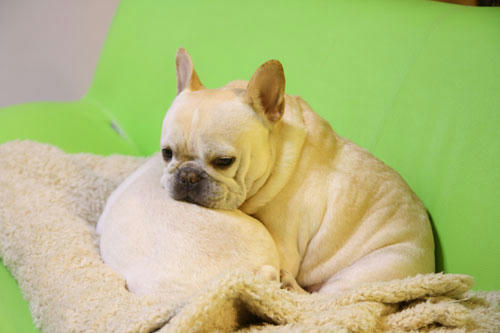 20120402_4.jpg