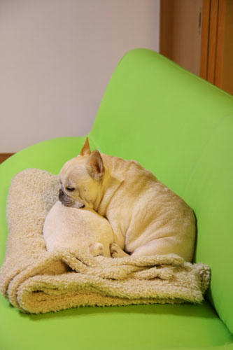 20120402_5.jpg