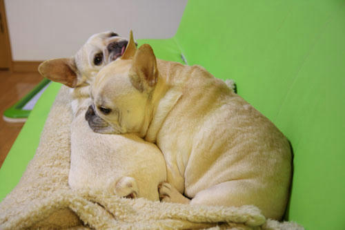 20120402_6.jpg