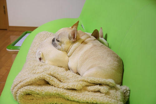 20120402_7.jpg