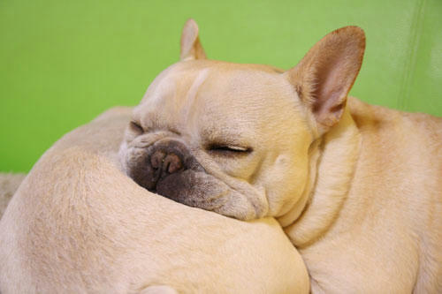 20120402_9.jpg