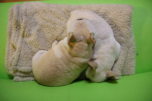 20120402_10.jpg
