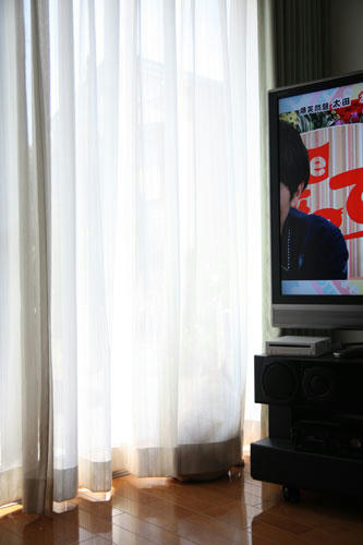 20120404_1.jpg