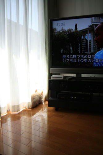 20120404_2.jpg