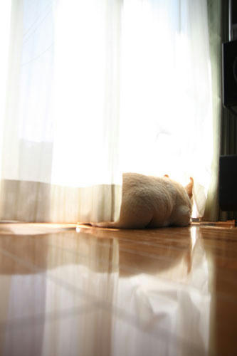 20120404_3.jpg
