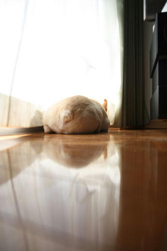 20120404_4.jpg