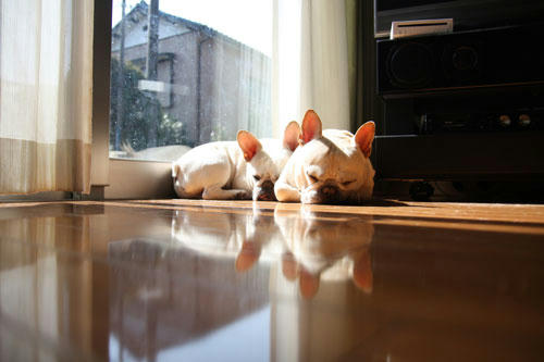 20120404_6.jpg