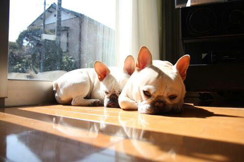 20120404_7.jpg